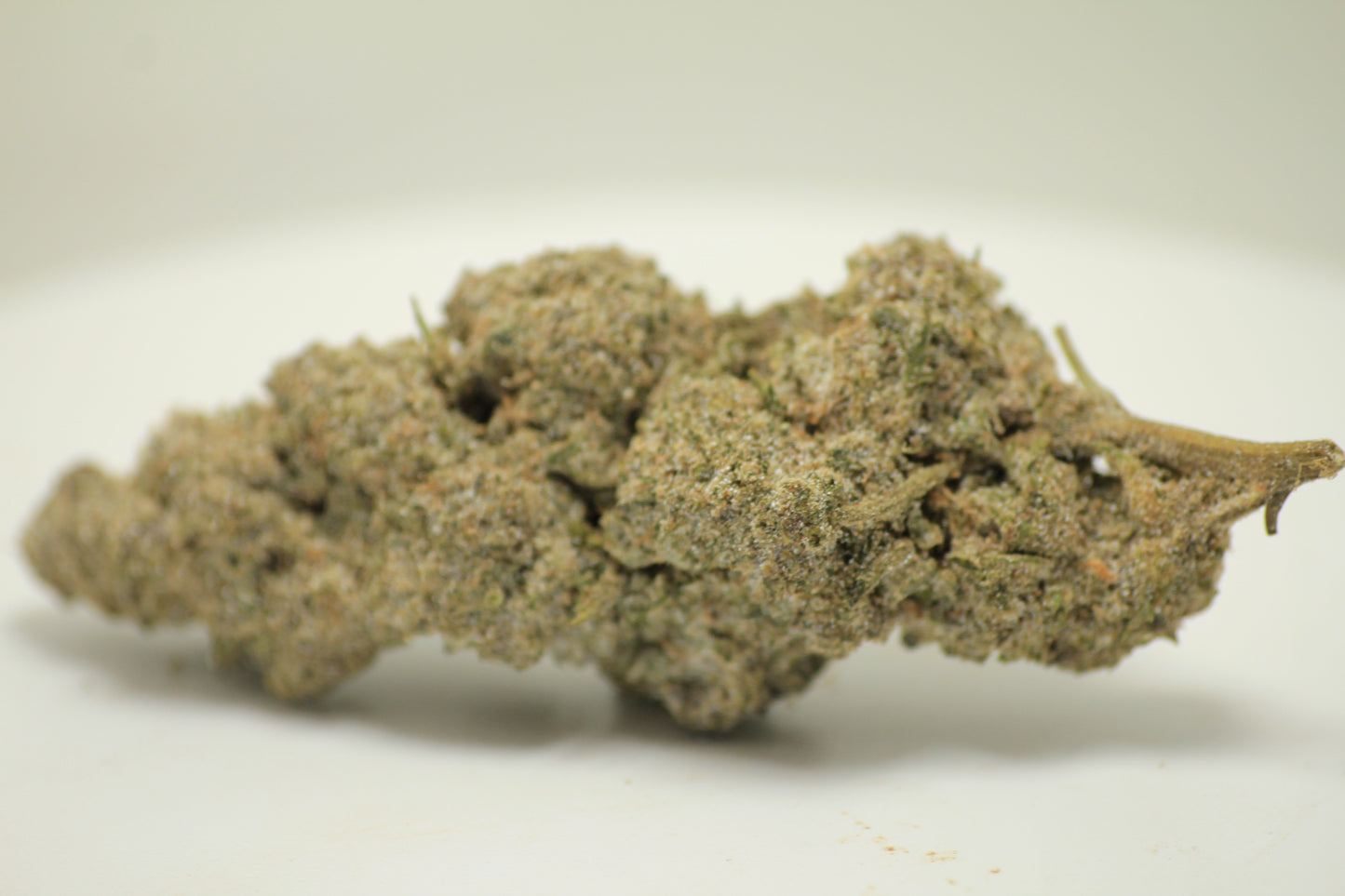 Sour Diesel x THCA 28% – Gas with a Purpose | HYBRID | THCA 28%