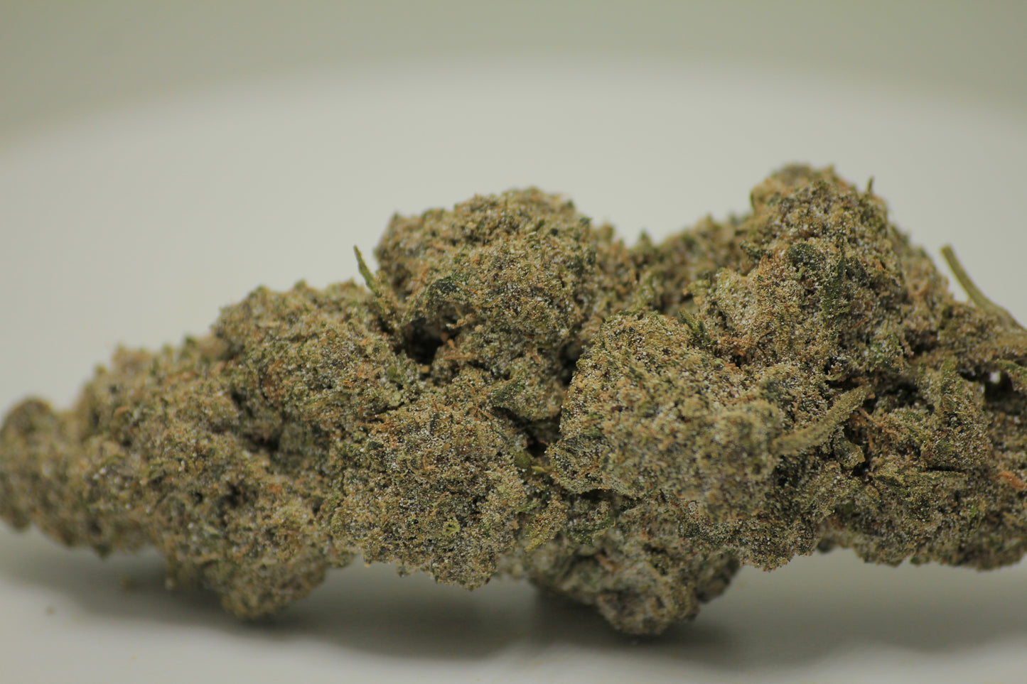 Sour Diesel x THCA 28% – Gas with a Purpose | HYBRID | THCA 28%