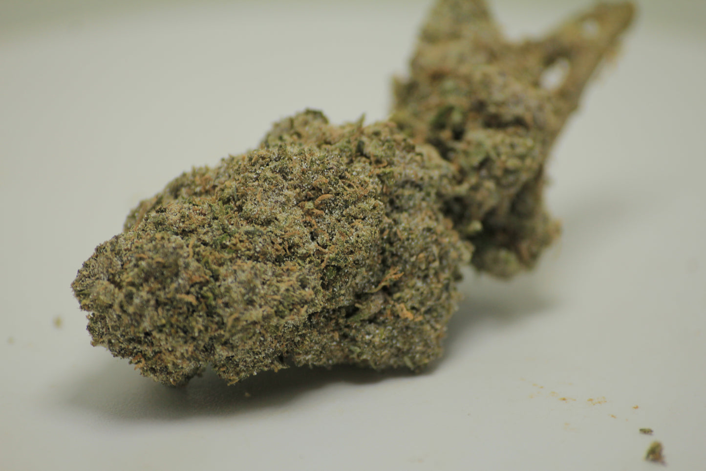 Sour Diesel x THCA 28% – Gas with a Purpose | HYBRID | THCA 28%