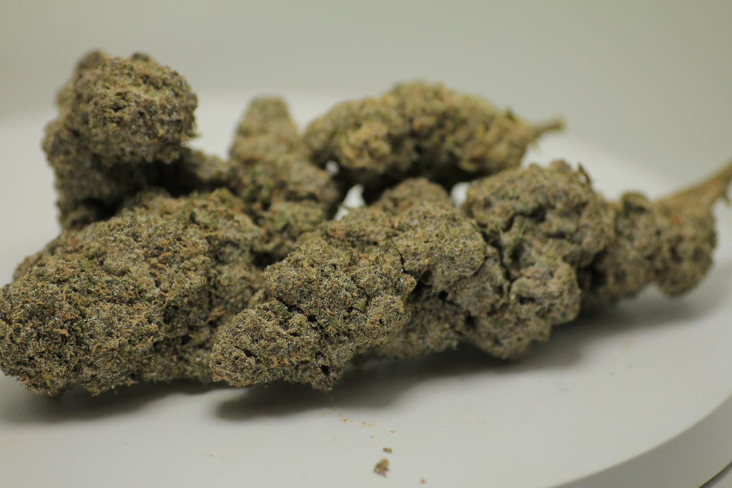 Sour Diesel x THCA 28% – Gas with a Purpose | HYBRID | THCA 28%