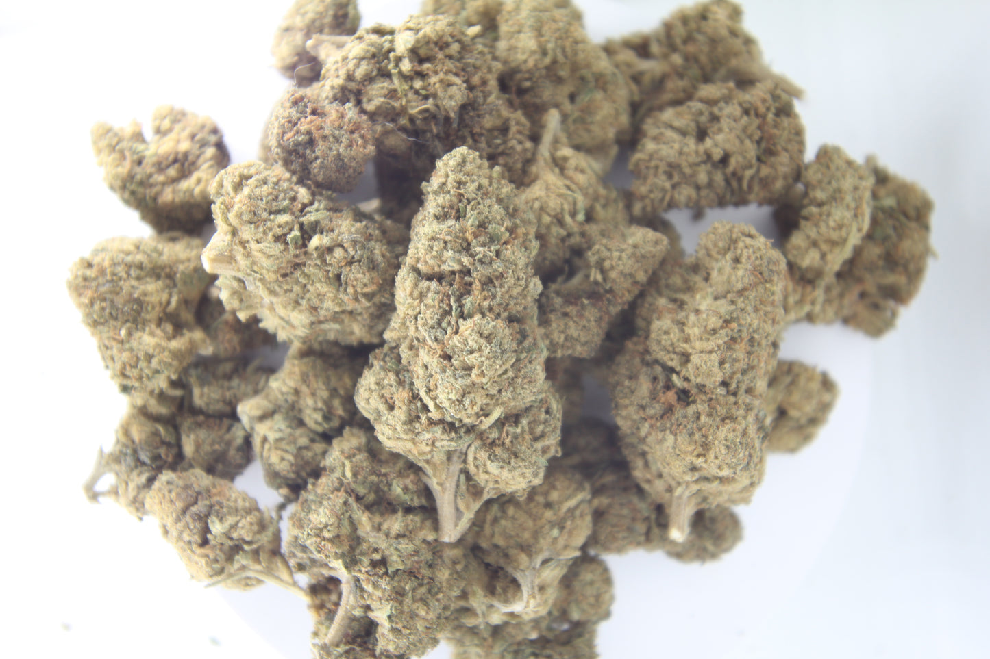 Tropical Haze x THCA 28% – HYBRID - Island Vibes, Dublin Streets