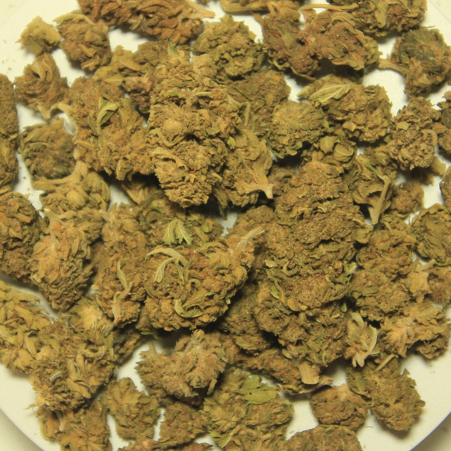 buy cheapest thca flower UK