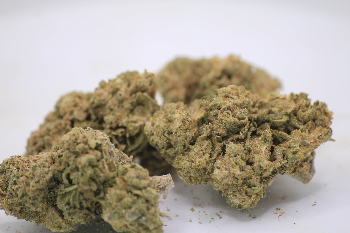 Boutique Harlequin × 28% THCa 🍃 A Classic Strain with Complex Flavours