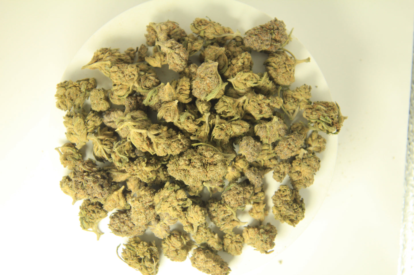 𦨠Budget Skunk Γ 18% THCa β Old-School Funk, New-School Ethics π