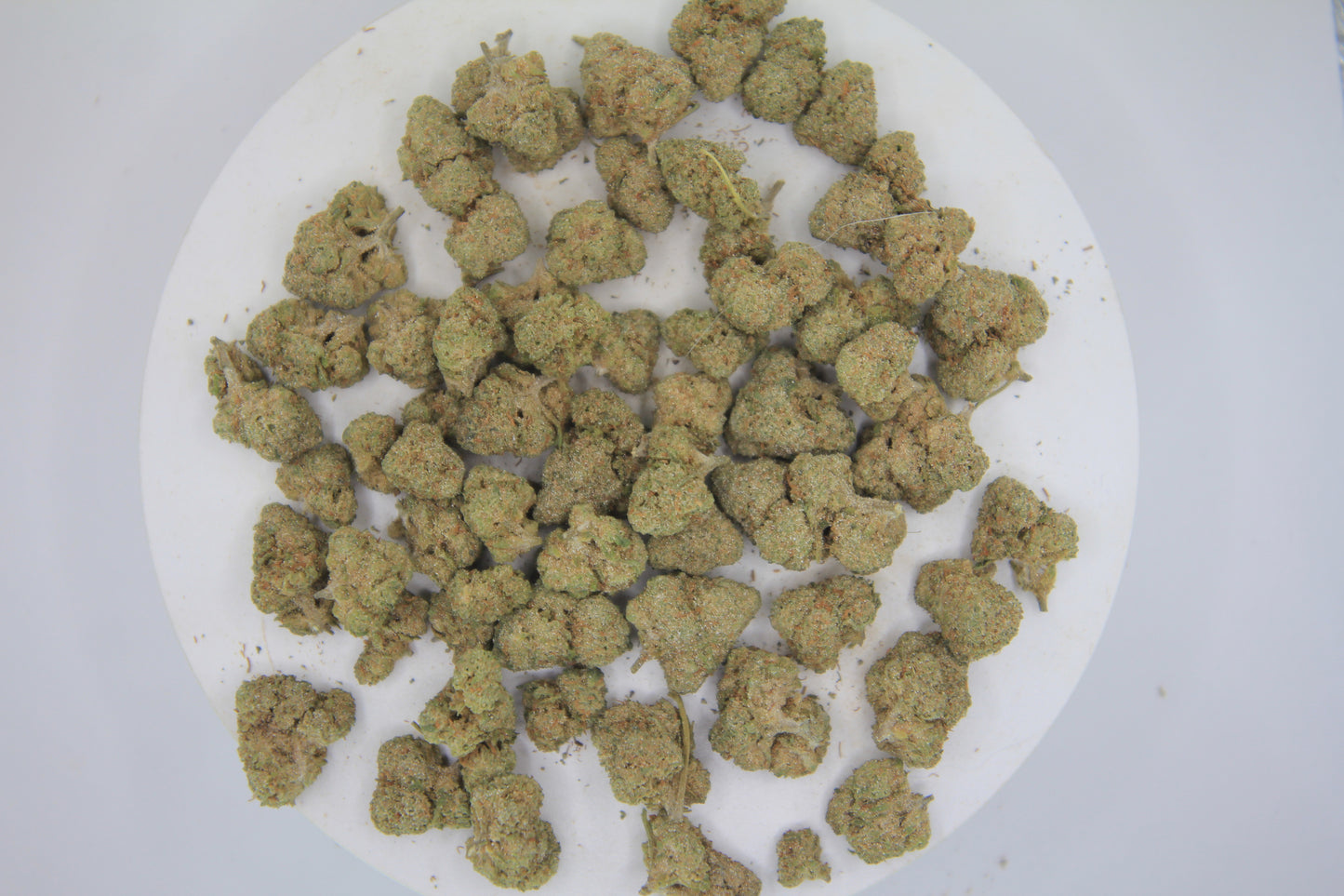 š¦āļø BOUTIQUE WHITE RHINO | 16% CBD X 25% THCa | HEAVY HITTERS ONLY āļøš¦