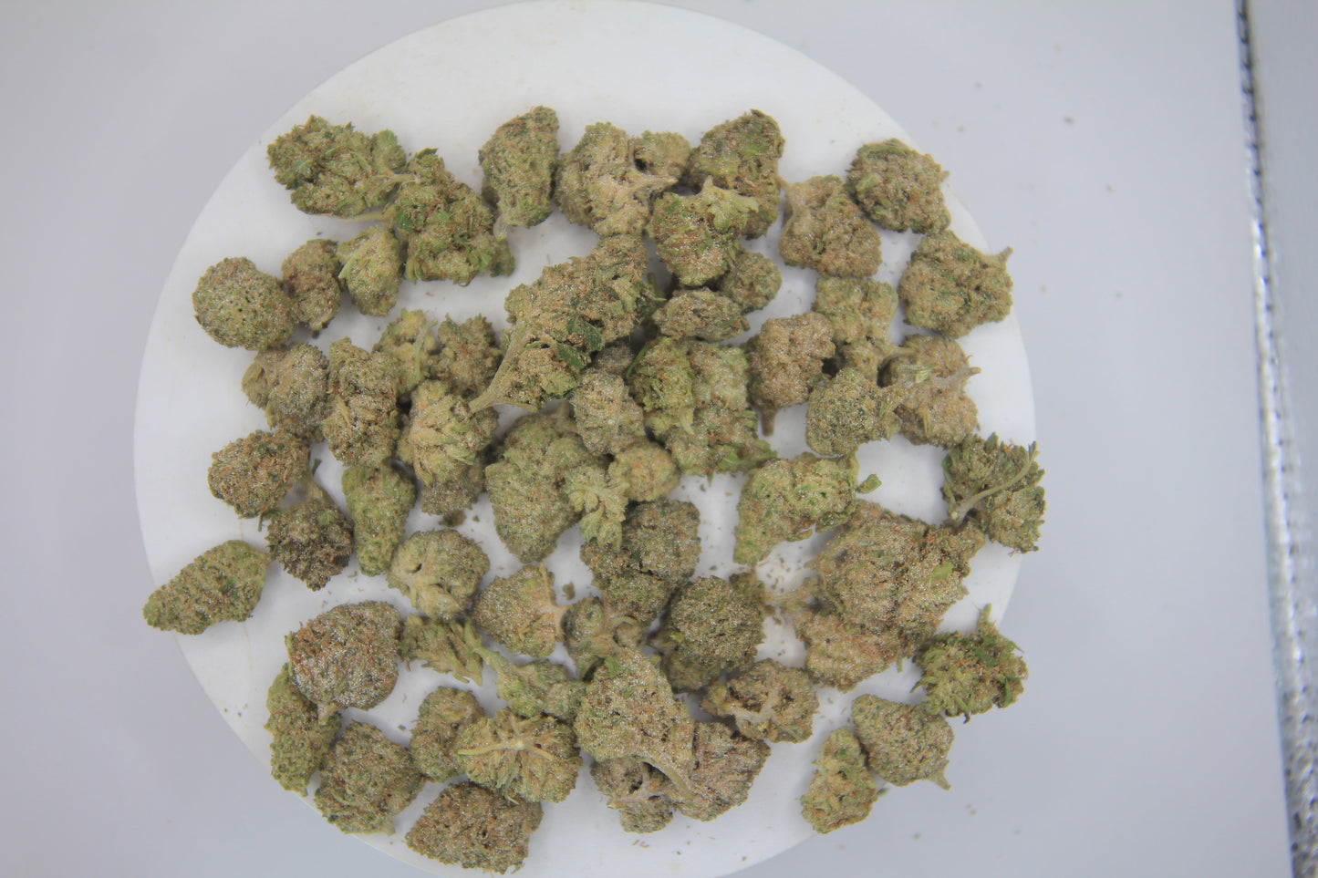💸🌿 BUDGET OG KUSH MINI-BUDS | 18% THCa X 14% CBD | BIG VALUE. SMALL BUDS. 🌿💸