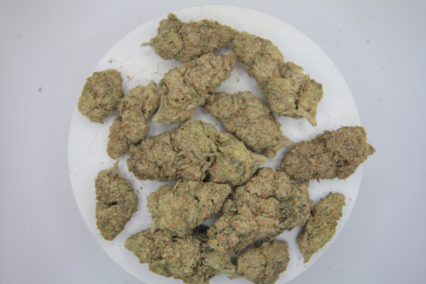 š¦āļø BOUTIQUE WHITE RHINO | 16% CBD X 25% THCa | HEAVY HITTERS ONLY āļøš¦