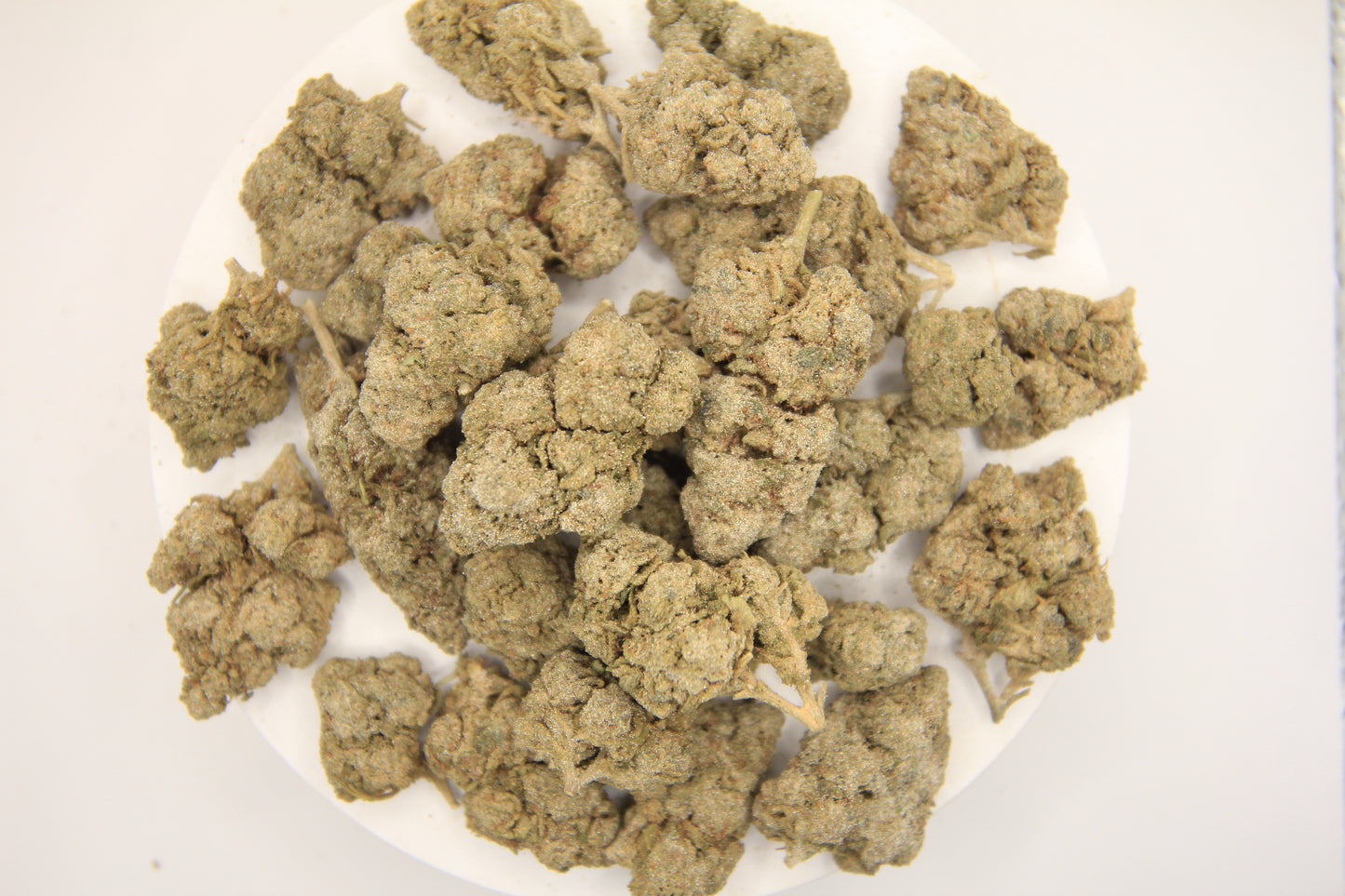 π¬π₯ Budget Candy Kush X β 18% THCa π₯π¬