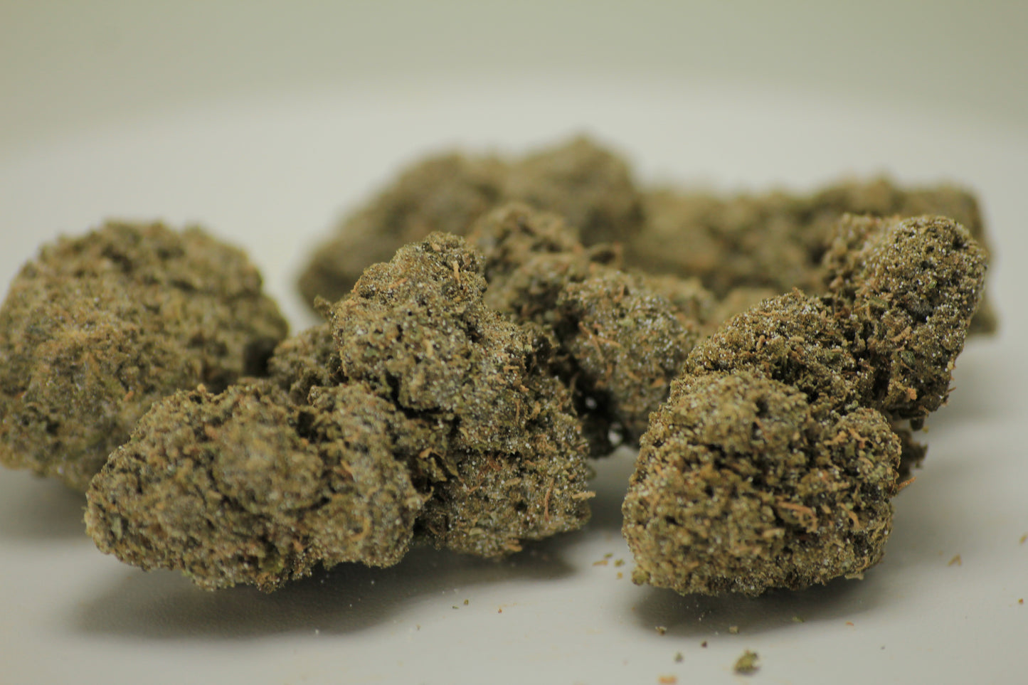 Tropical Haze x THCA 28% – HYBRID - Island Vibes, Dublin Streets