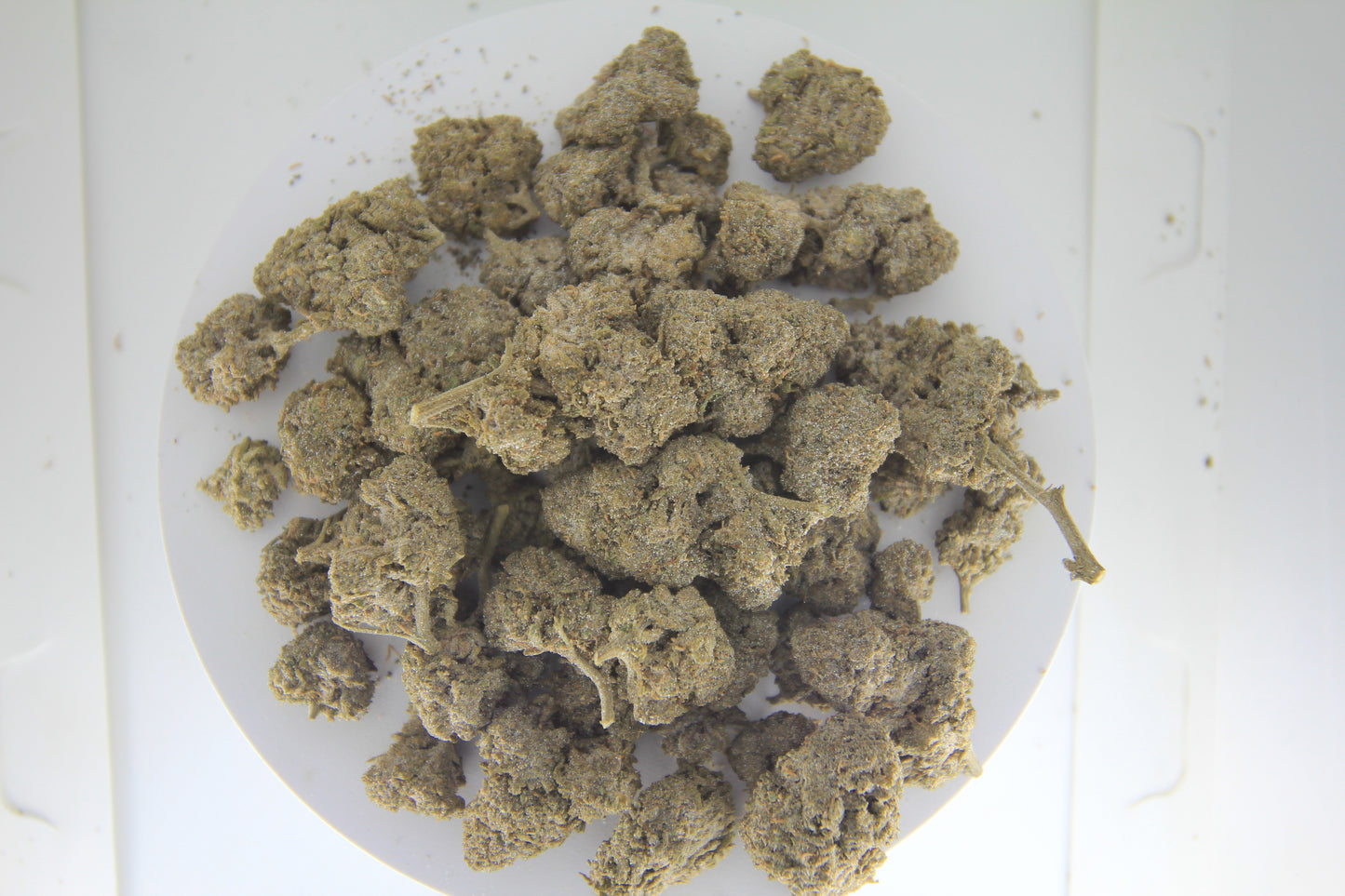 Sour Diesel x THCA 28% – Gas with a Purpose | HYBRID | THCA 28%