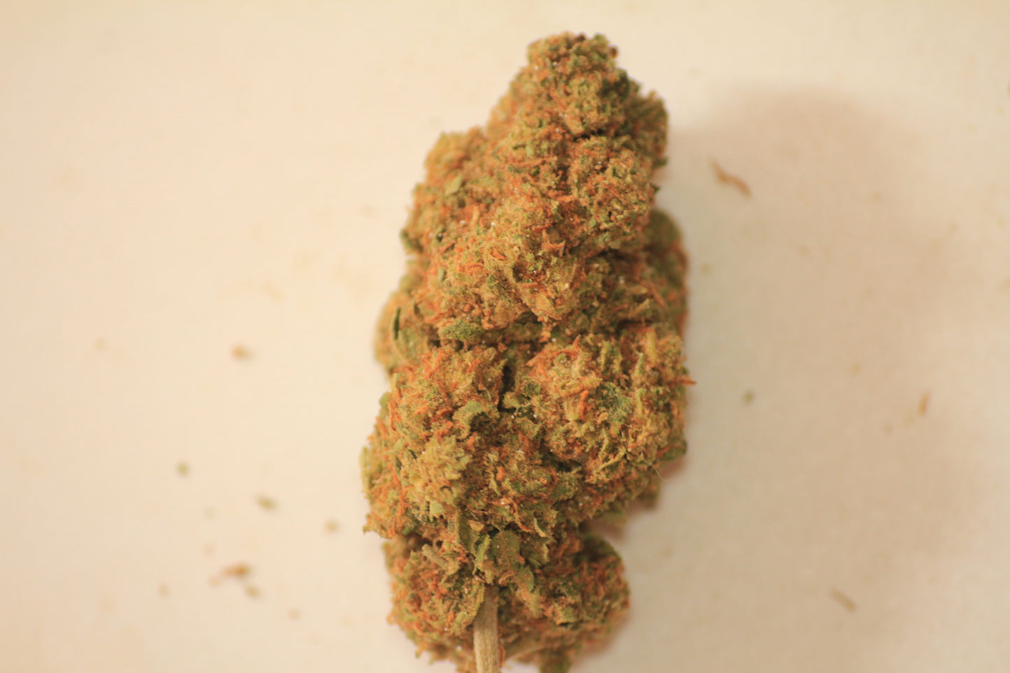 Budget Blueberry Muffin X 18% THCa 🫐 Same Quality Buds: Now Pocket Friendly