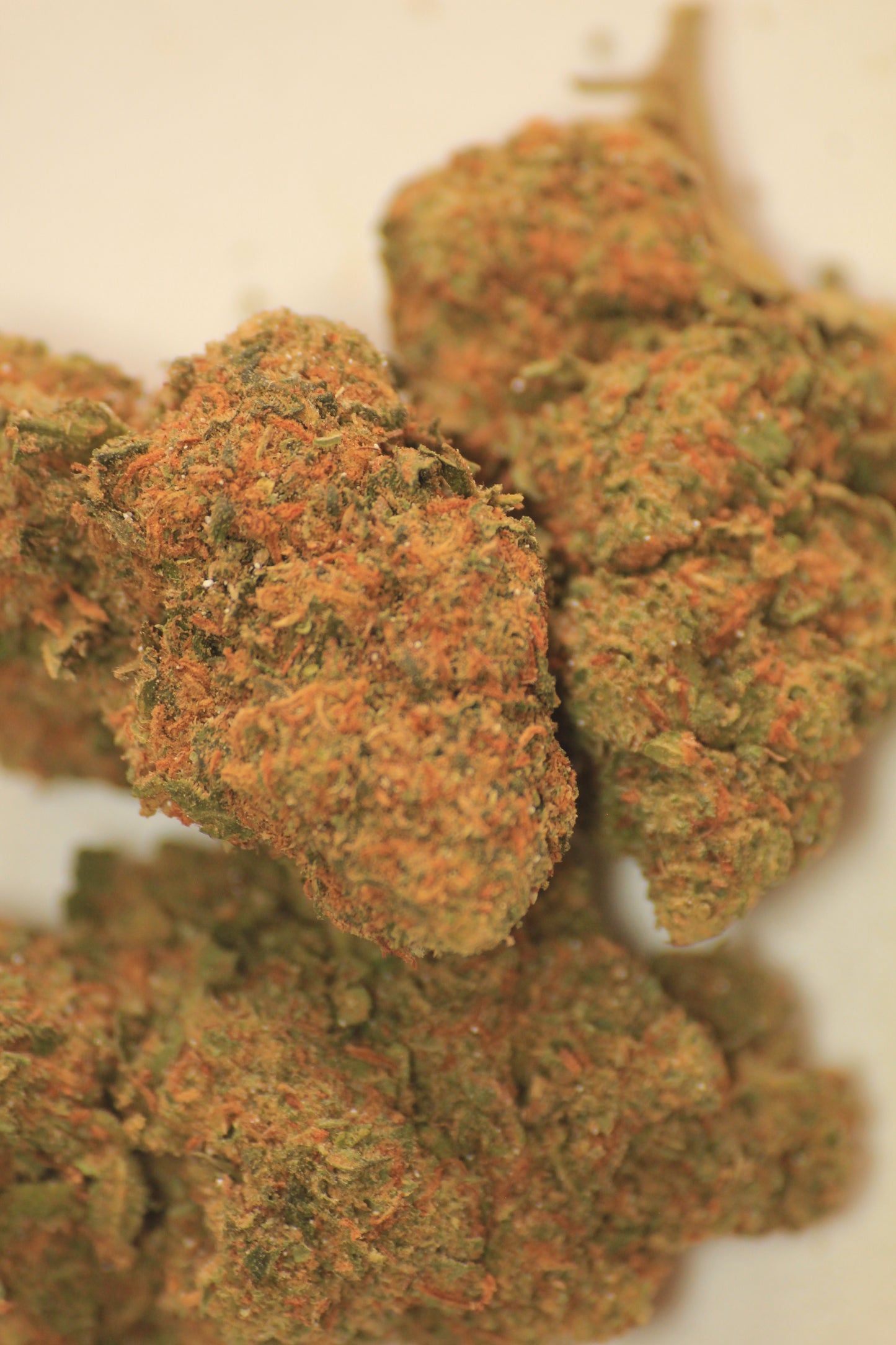 Budget Blueberry Muffin X 18% THCa 🫐 Same Quality Buds: Now Pocket Friendly