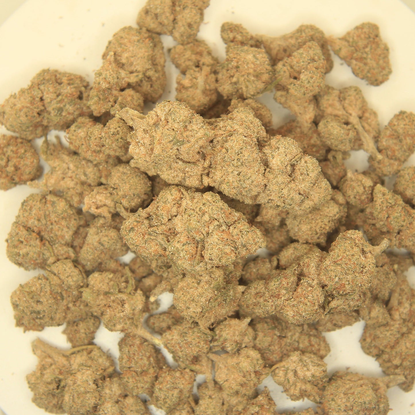thca uk and ireland next day
