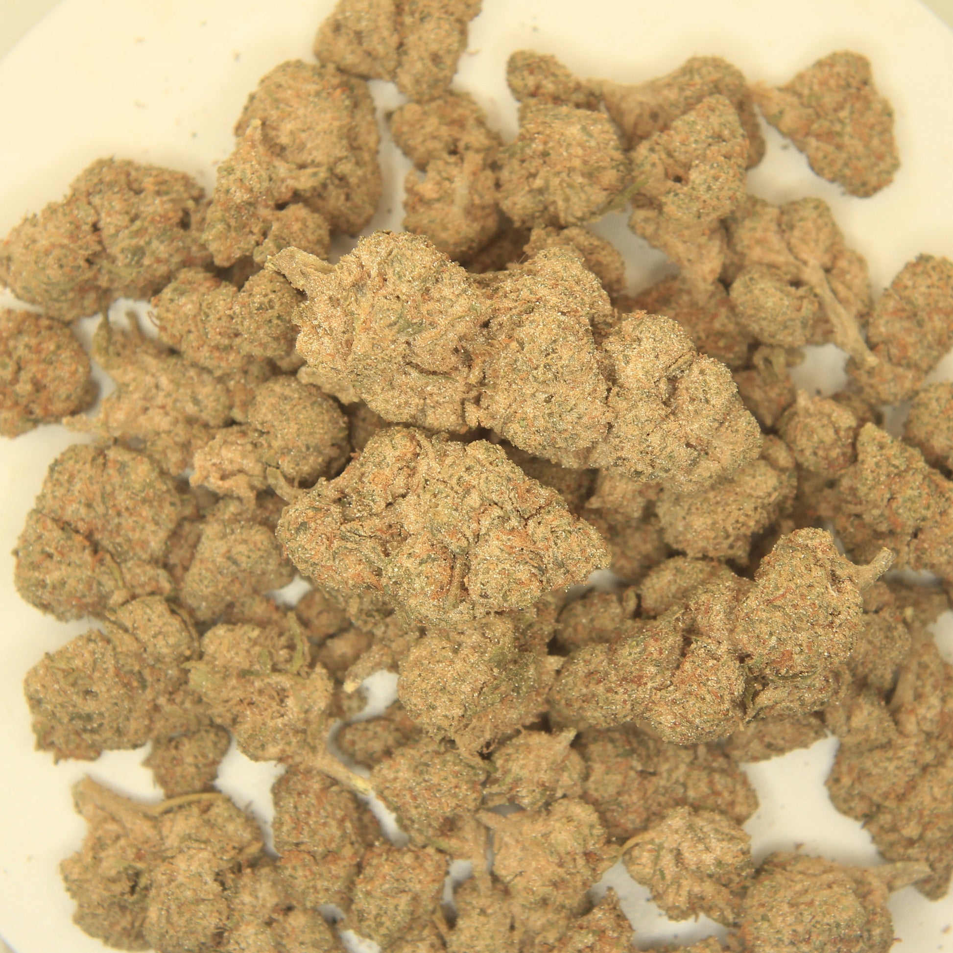 thca uk and ireland next day