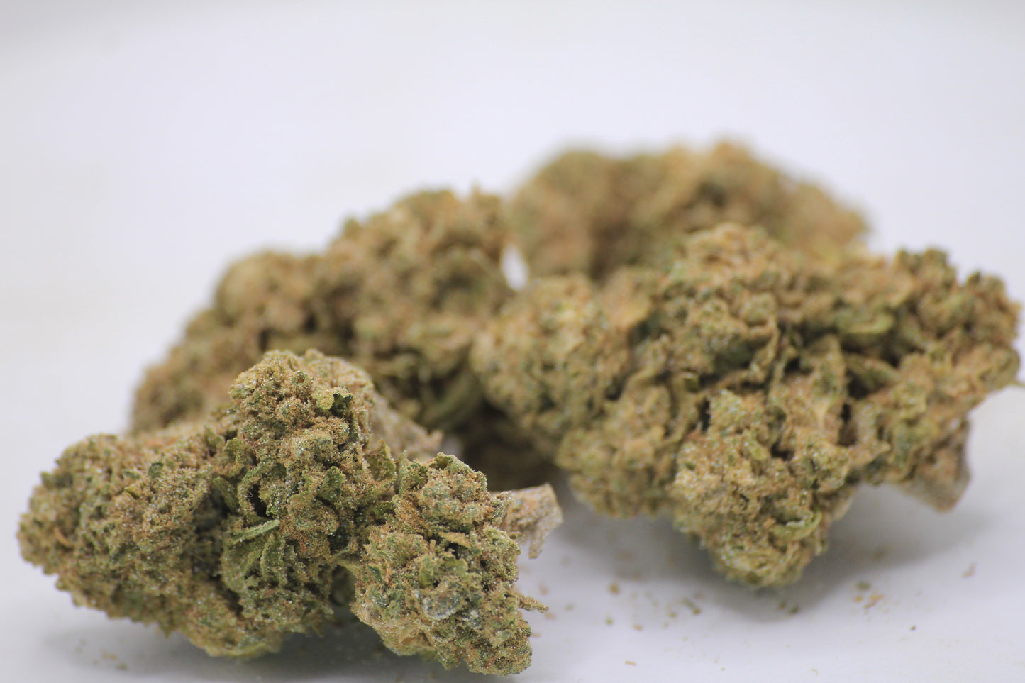 Boutique Harlequin × 28% THCa 🍃 A Classic Strain with Complex Flavours