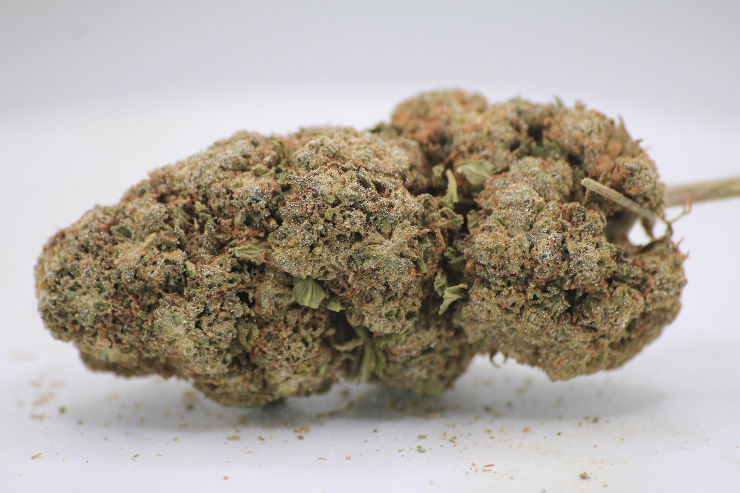 🥤 Boutique Milkshake × 28% Hemp-Derived THCa 🌿