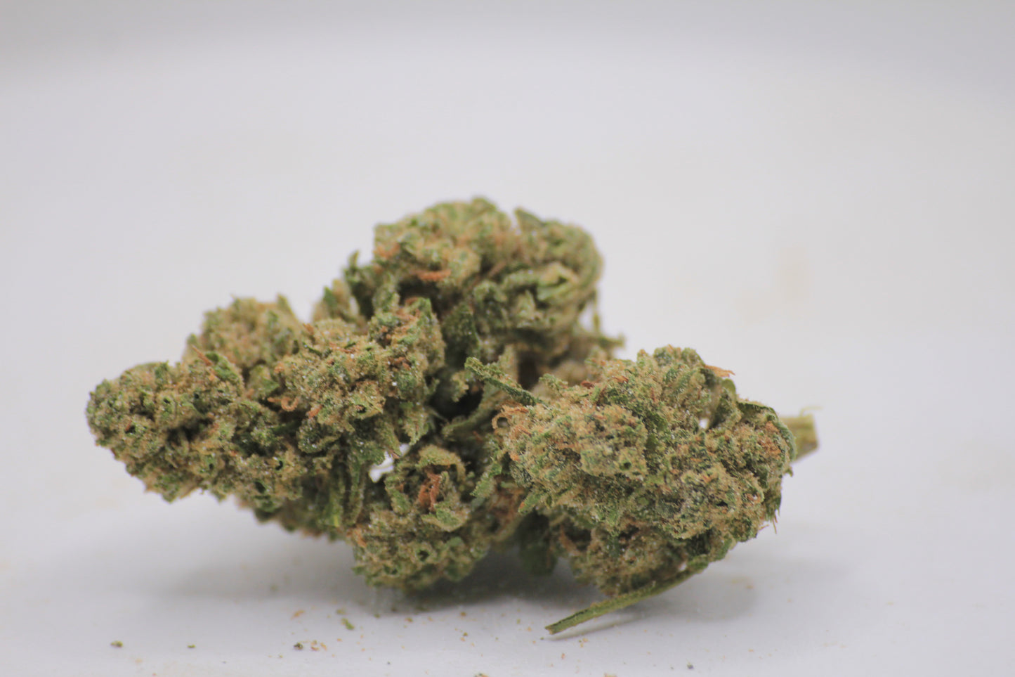 🍋 Budget Limoncello x 18% THCa – Fresh New Buds for a Fresh New Year 💚