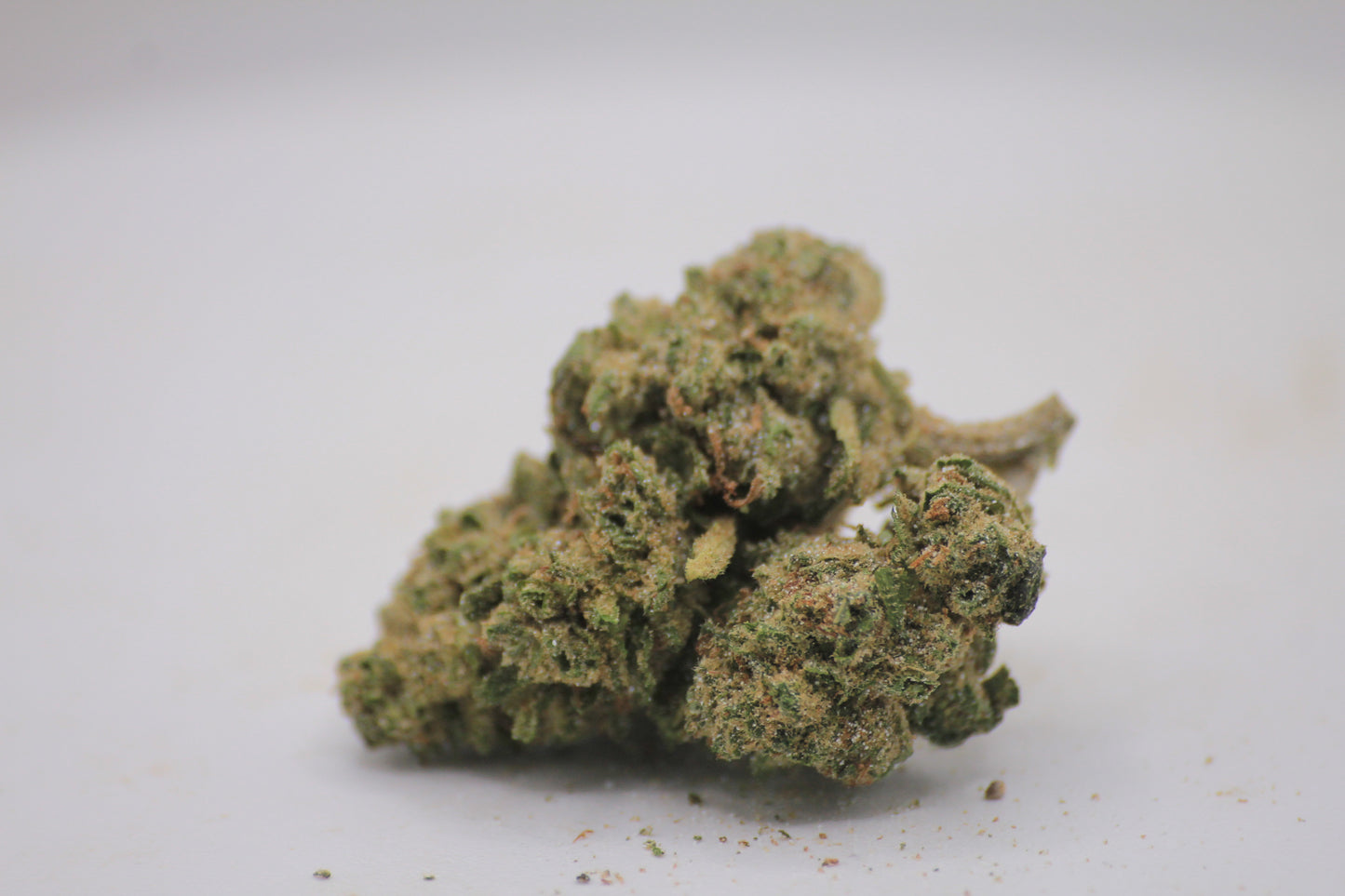 🍋 Budget Limoncello x 18% THCa – Fresh New Buds for a Fresh New Year 💚