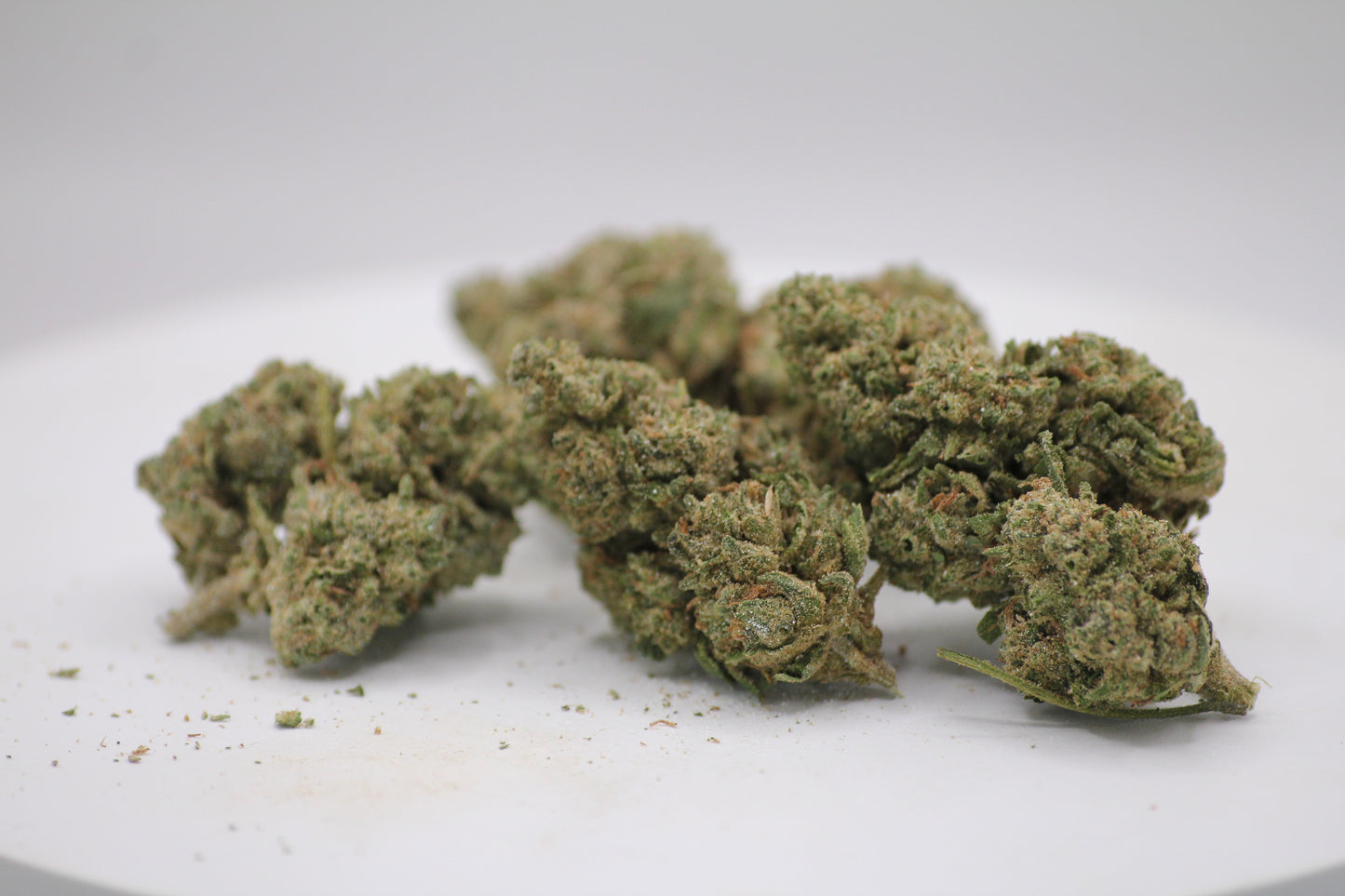 🍋 Budget Limoncello x 18% THCa – Fresh New Buds for a Fresh New Year 💚