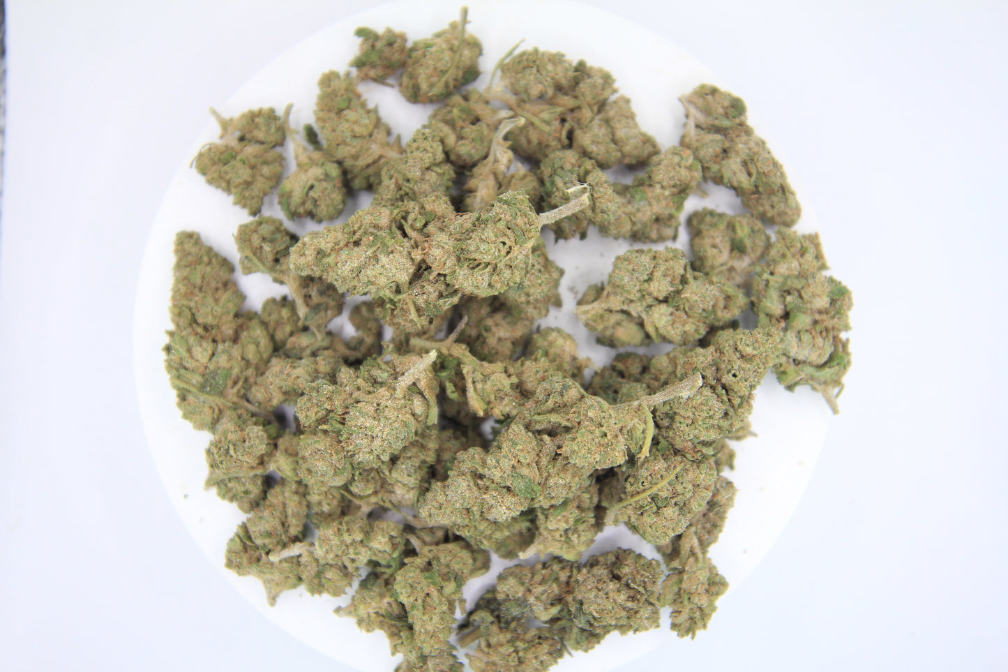 🍋 Budget Limoncello x 18% THCa – Fresh New Buds for a Fresh New Year 💚