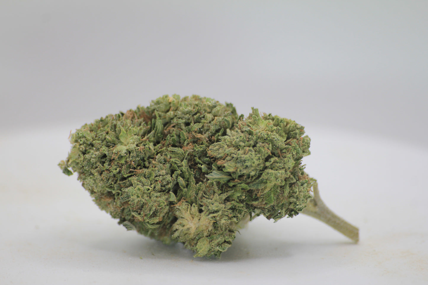🌿🔥 BUBBA KUSH | 18% CBD × 28% THCa | One last drop of an old classic! 🔥🌿
