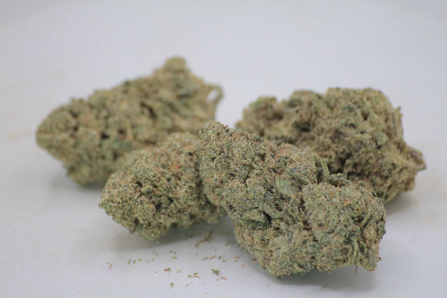 🌸🔥 BOUTIQUE BUBBLEGUM | 20% CBD X 25% THCa | Comrade Mac’s Bud of the Month 🔥🌸