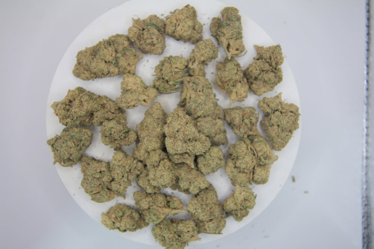 🌸🔥 BOUTIQUE BUBBLEGUM | 20% CBD X 25% THCa | Comrade Mac’s Bud of the Month 🔥🌸