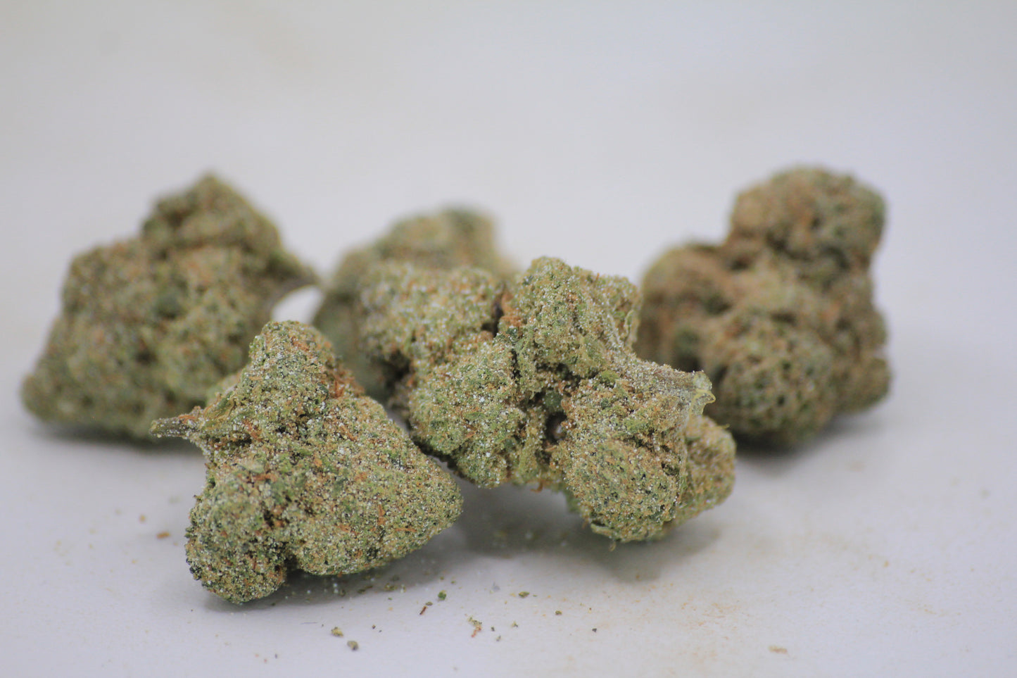 🦏❄️ BOUTIQUE WHITE RHINO | 16% CBD X 25% THCa | HEAVY HITTERS ONLY ❄️🦏