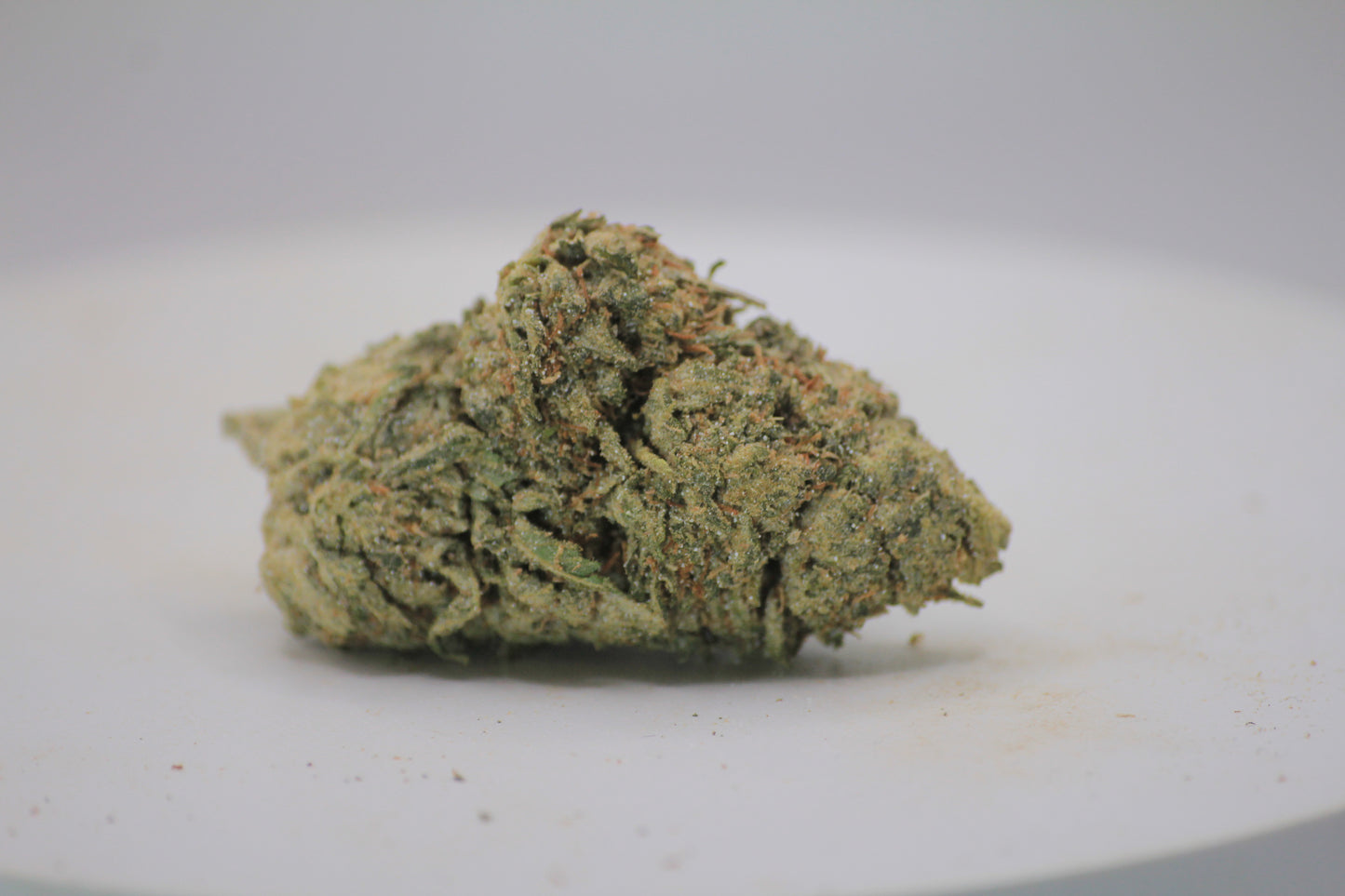 🦏❄️ BOUTIQUE WHITE RHINO | 16% CBD X 25% THCa | HEAVY HITTERS ONLY ❄️🦏