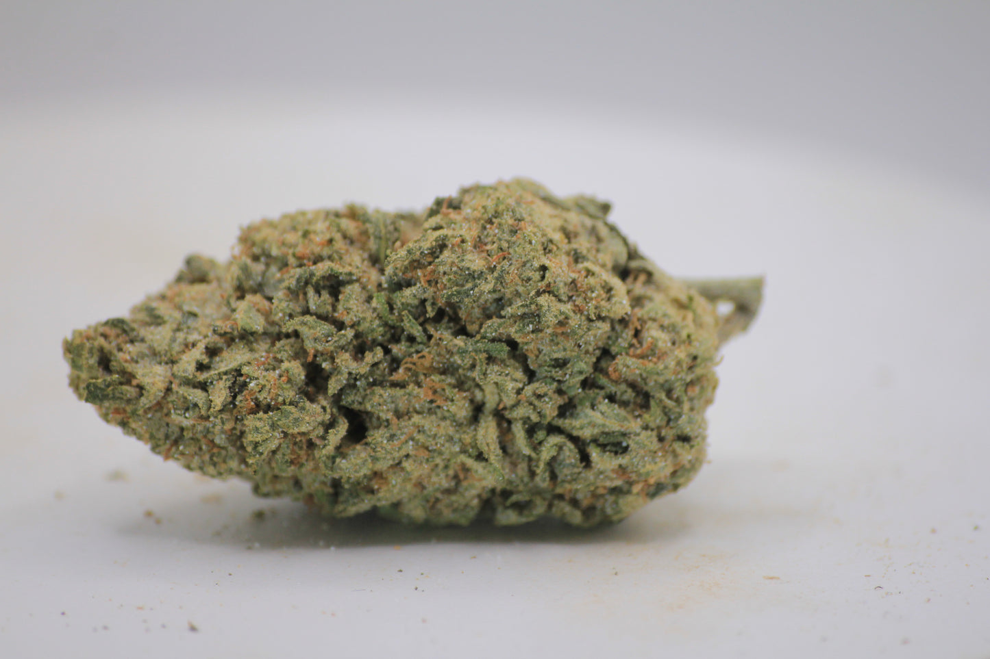 🦏❄️ BOUTIQUE WHITE RHINO | 16% CBD X 25% THCa | HEAVY HITTERS ONLY ❄️🦏