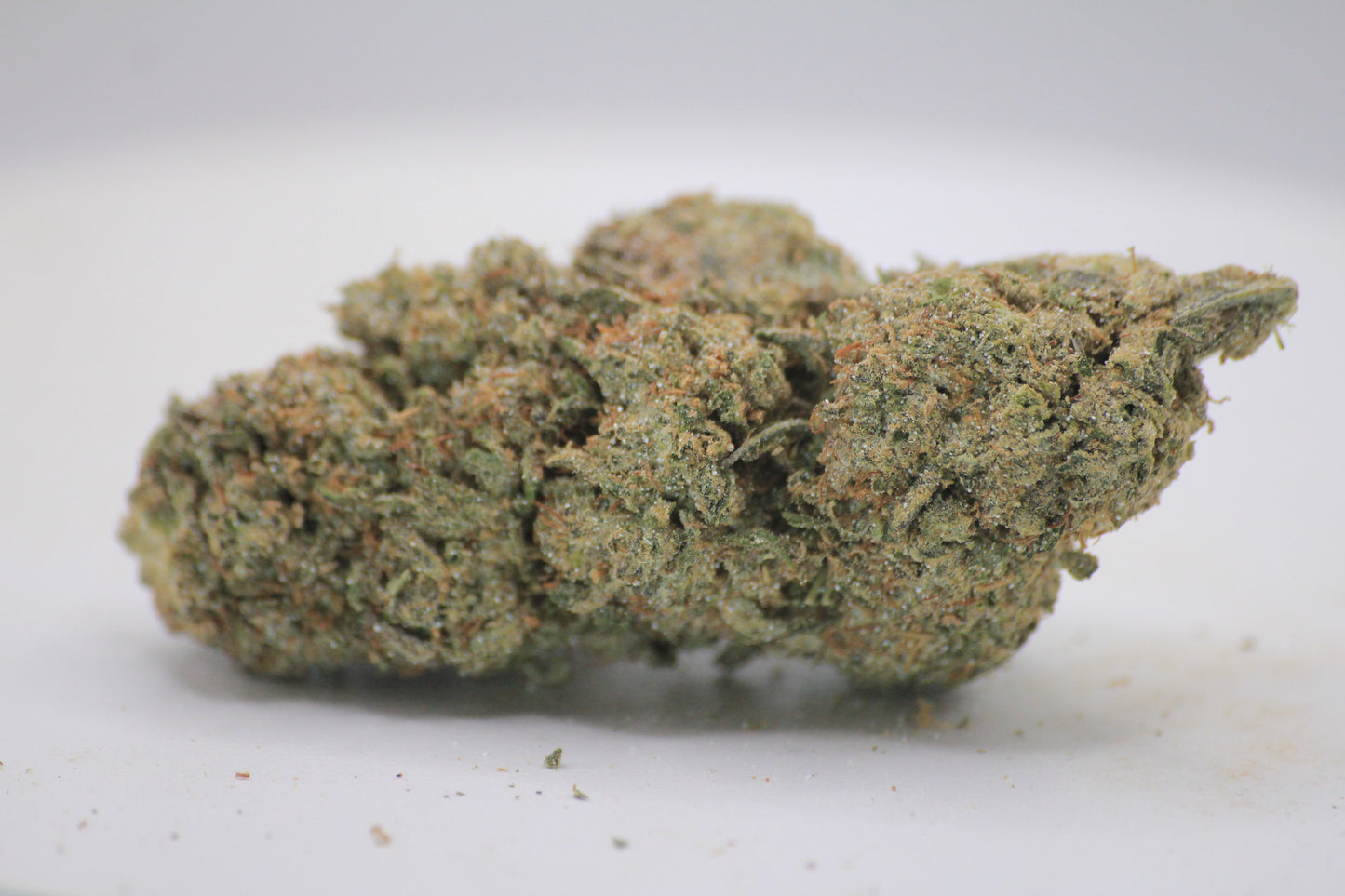 🦏❄️ BOUTIQUE WHITE RHINO | 16% CBD X 25% THCa | HEAVY HITTERS ONLY ❄️🦏