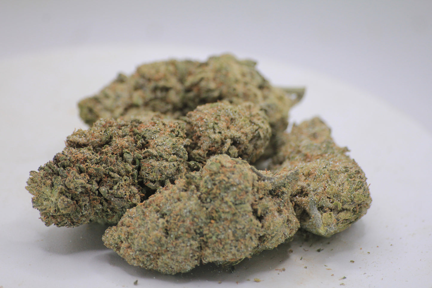 🦏❄️ BOUTIQUE WHITE RHINO | 16% CBD X 25% THCa | HEAVY HITTERS ONLY ❄️🦏