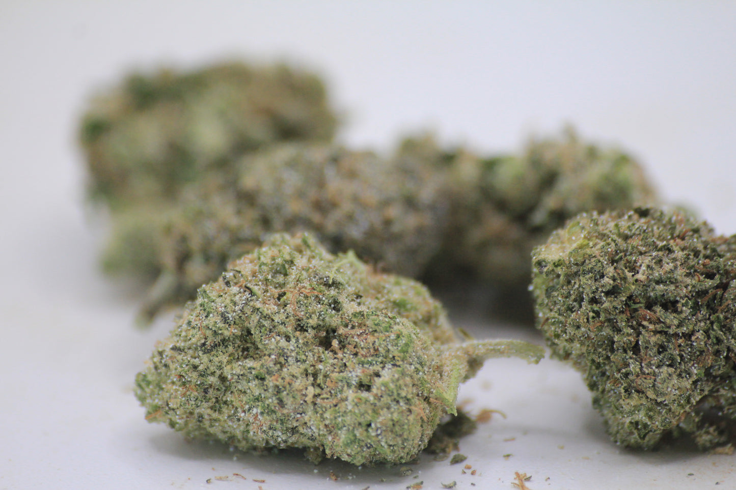 💸🌿 BUDGET OG KUSH MINI-BUDS | 18% THCa X 14% CBD | BIG VALUE. SMALL BUDS. 🌿💸