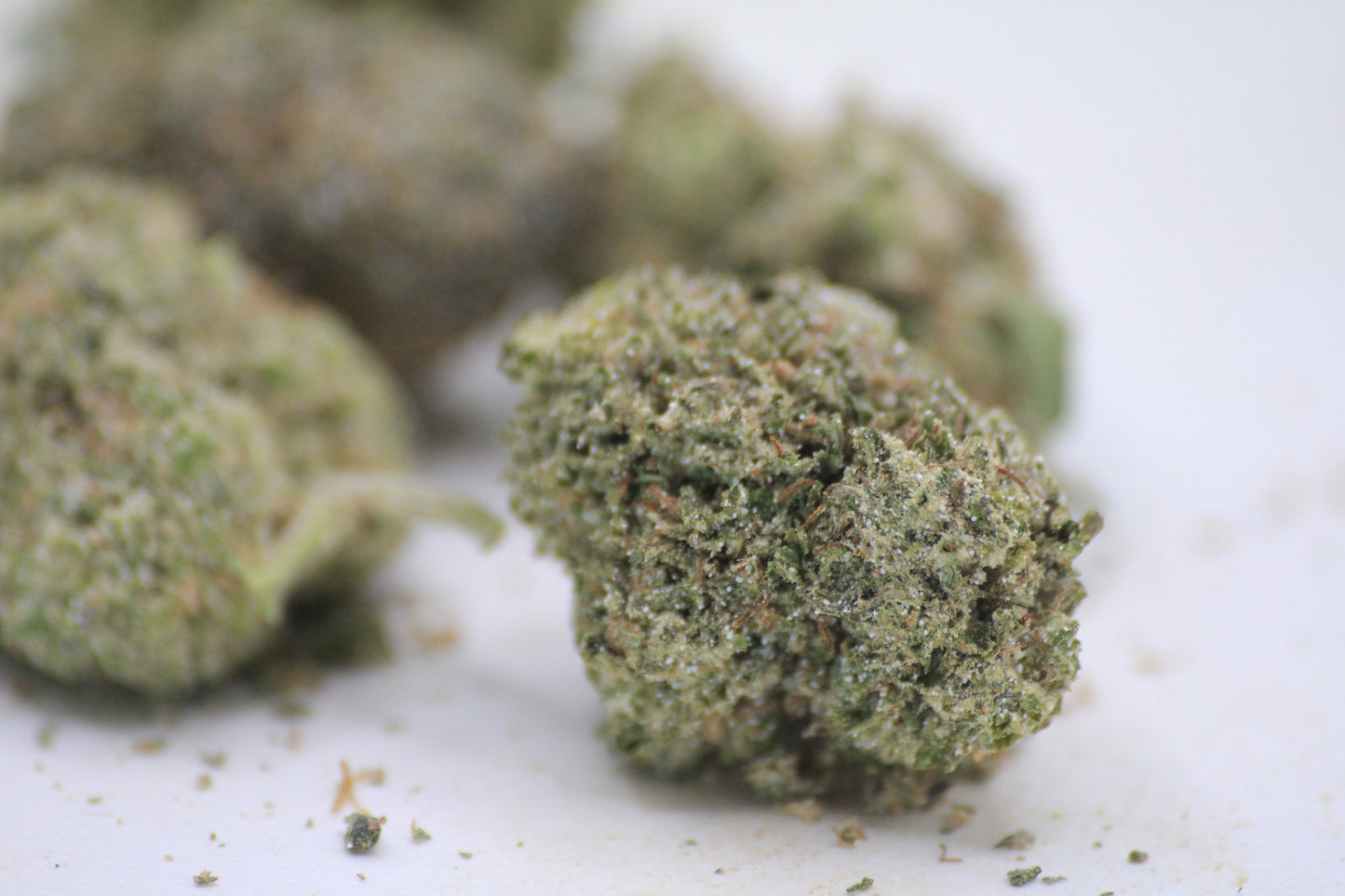 💸🌿 BUDGET OG KUSH MINI-BUDS | 18% THCa X 14% CBD | BIG VALUE. SMALL BUDS. 🌿💸