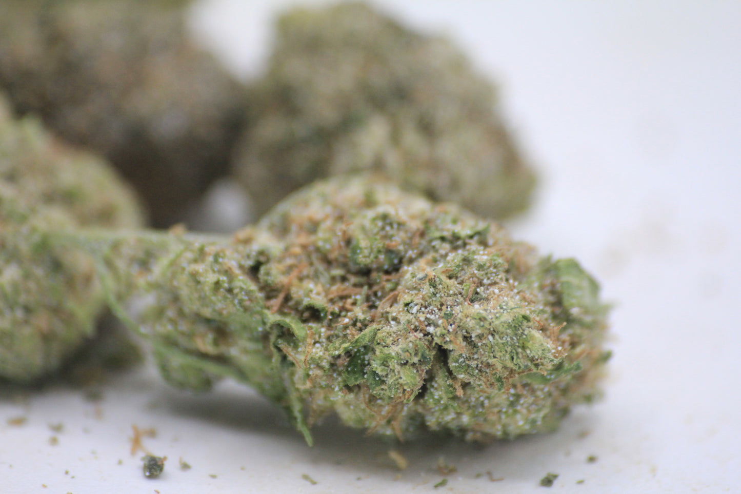 💸🌿 BUDGET OG KUSH MINI-BUDS | 18% THCa X 14% CBD | BIG VALUE. SMALL BUDS. 🌿💸