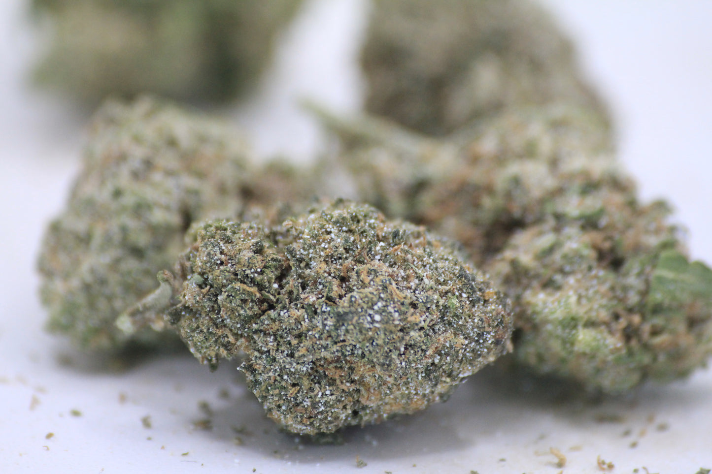 💸🌿 BUDGET OG KUSH MINI-BUDS | 18% THCa X 14% CBD | BIG VALUE. SMALL BUDS. 🌿💸