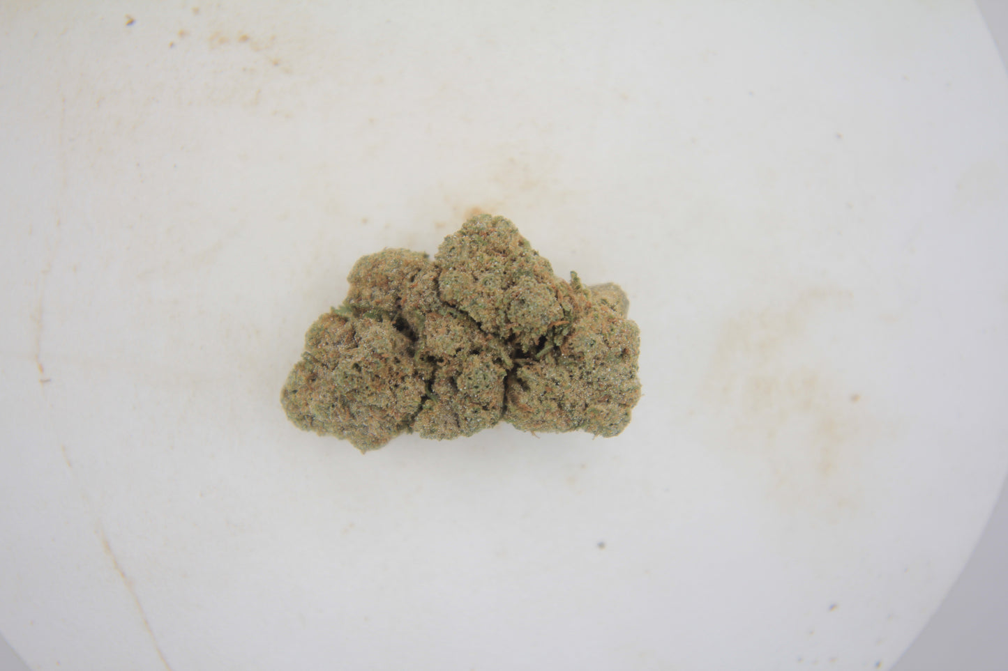 🦨⛽ BOUTIQUE SOUR SKUNK | 25% THCa | LOUD, LEGENDARY & UNAPOLOGETIC ⛽🦨