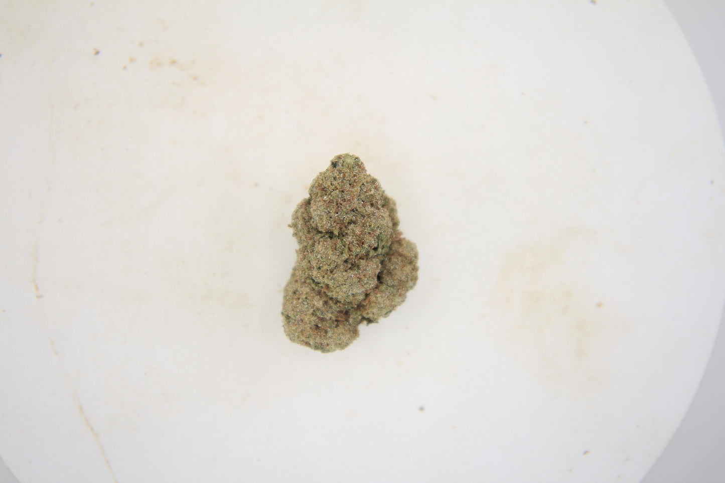 🍌🦨 Boutique Banana Skunk | 25% THCa 🌿✨