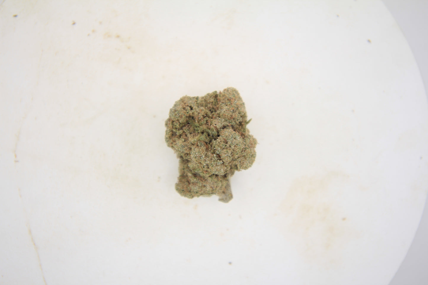 🦨⛽ BOUTIQUE SOUR SKUNK | 25% THCa | LOUD, LEGENDARY & UNAPOLOGETIC ⛽🦨