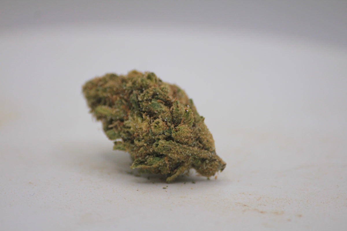 💰🌿 BUDGET NORTHERN LIGHTS | 18% THCa | PREMIUM FLOWER. BUDGET PRICE. 🌿💰