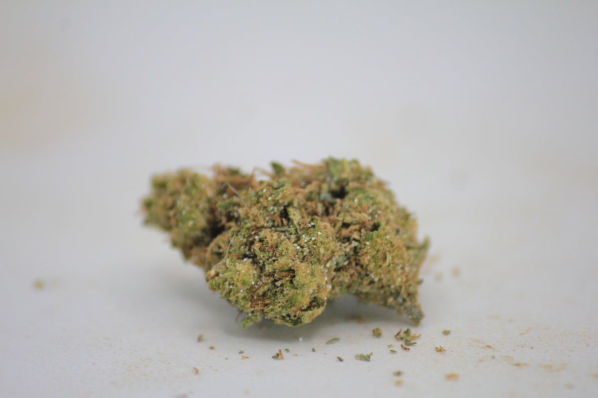 💰🌿 BUDGET NORTHERN LIGHTS | 18% THCa | PREMIUM FLOWER. BUDGET PRICE. 🌿💰