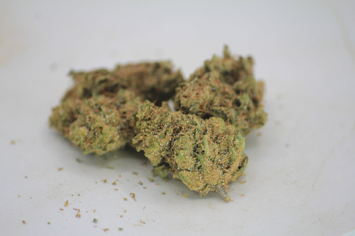 💰🌿 BUDGET NORTHERN LIGHTS | 18% THCa | PREMIUM FLOWER. BUDGET PRICE. 🌿💰