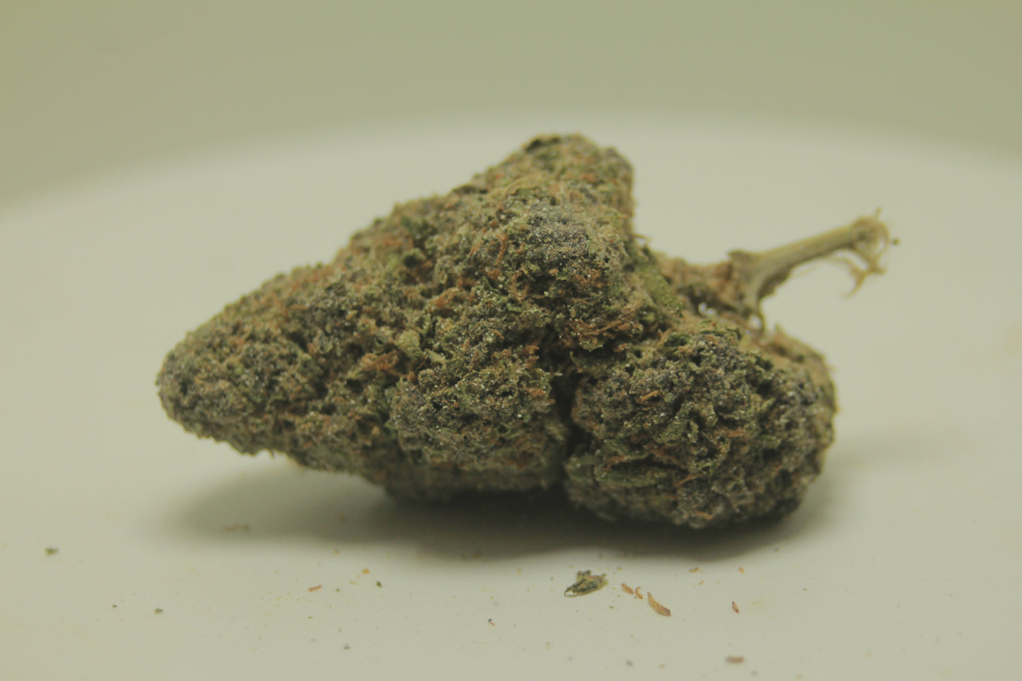 Rainbow Runtz | 30% THCA | Indica-Dominant Hybrid