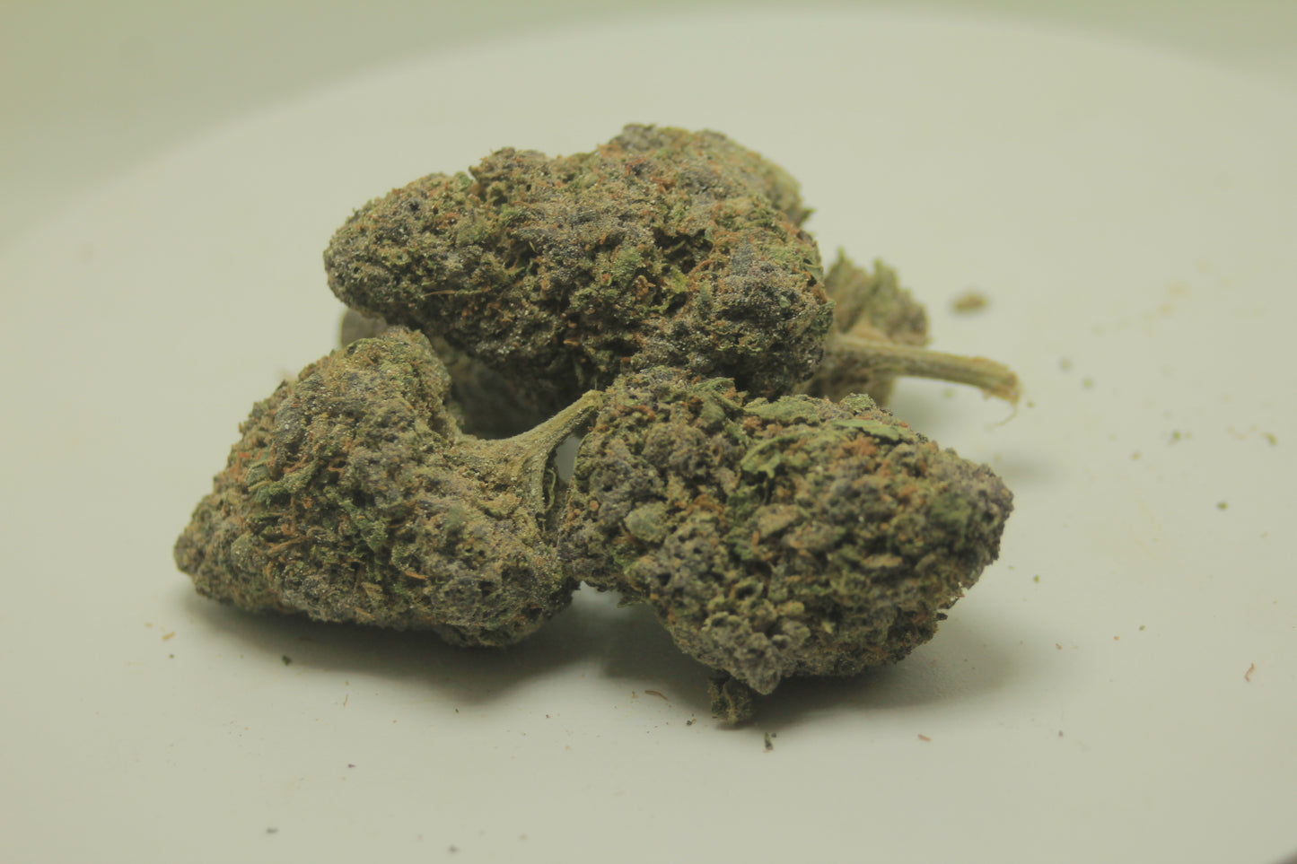 Rainbow Runtz x THCA 28% - INDICA DOMINANT - Sweet Flowers with Street Smarts