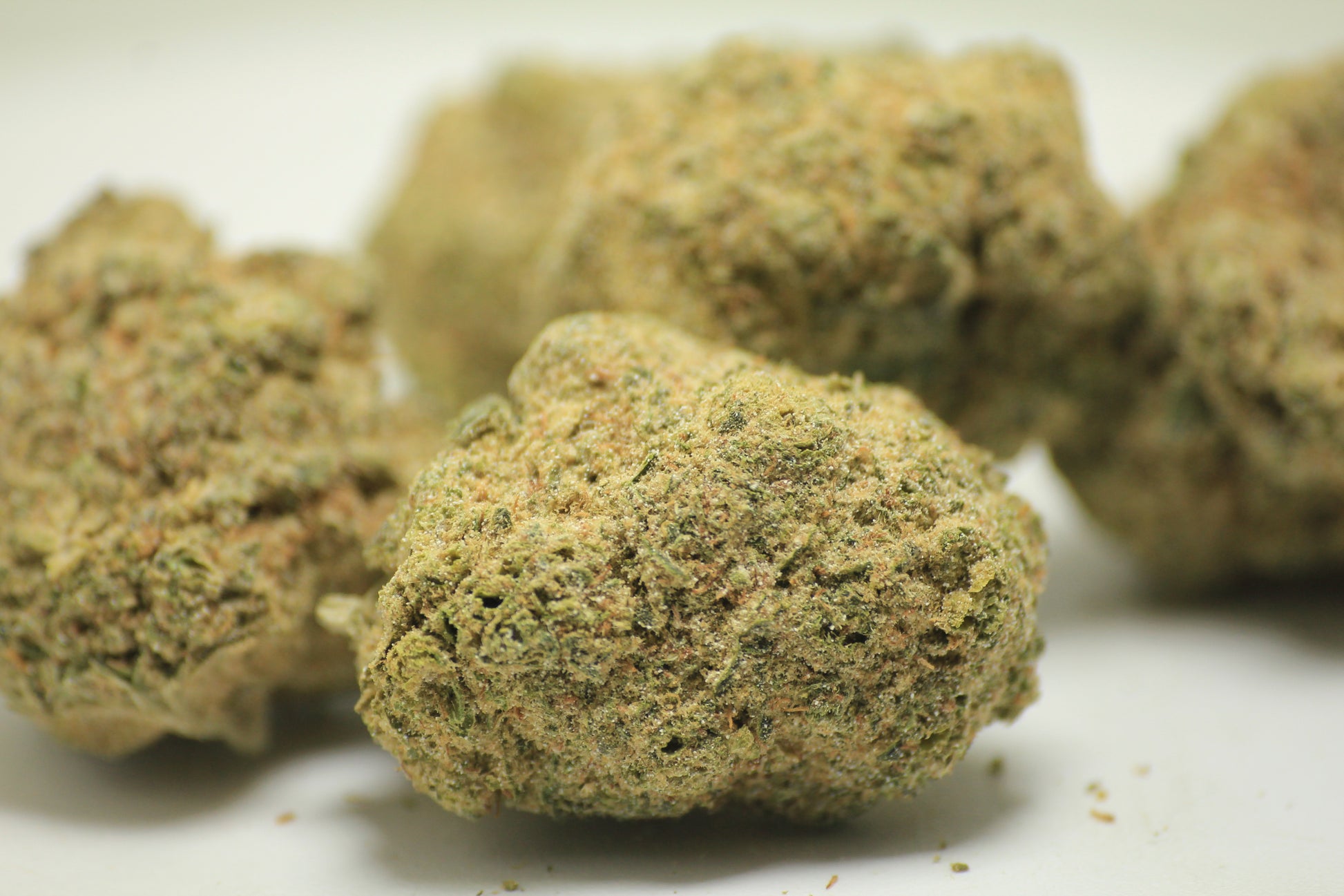 the best thca flower in the UK