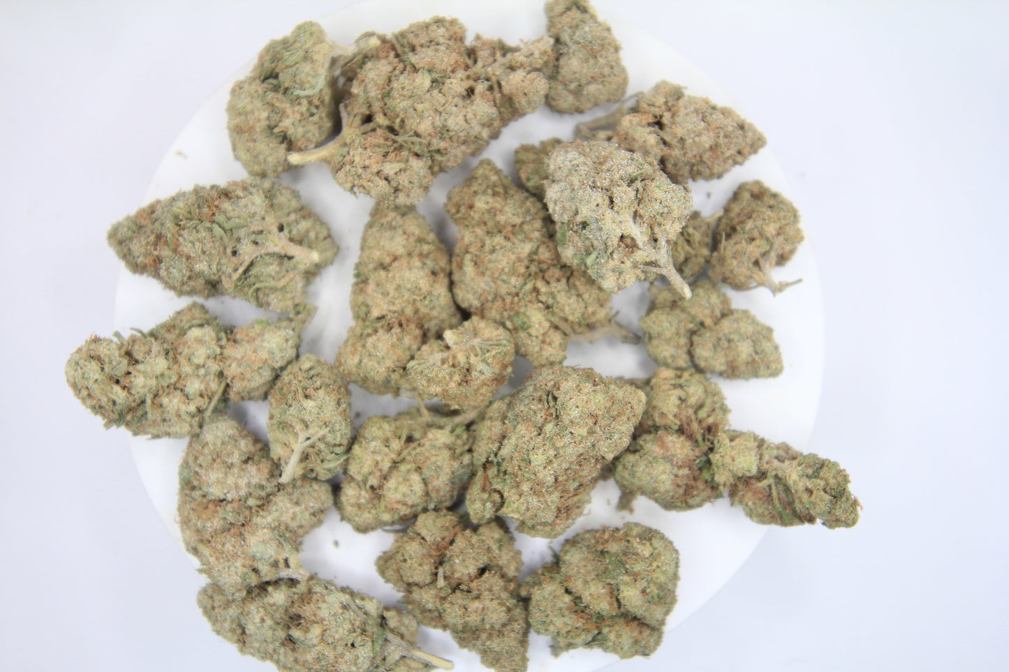 🫐✨ BOUTIQUE BLUEBERRY MUFFIN X ✨🫐 25% THCa | 16% CBD | Sweet & Plush Smoke