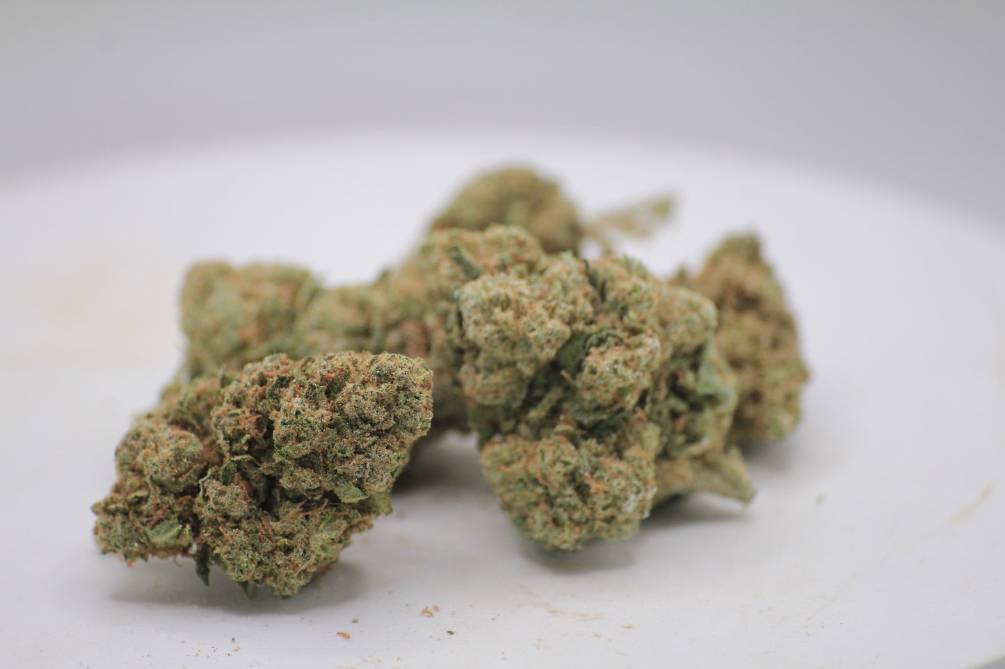 🧀 Boutique OG Cheese × 25% THCa | 16% CBD 🧀