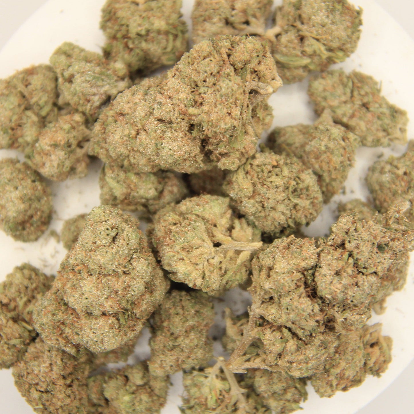 Boutique Lemon Cherry Gelato | 13% CBD | 25% THCa