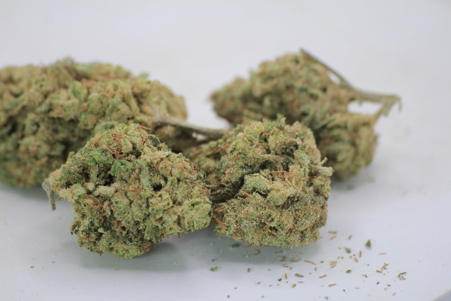 Boutique Orange Martini | 18% CBD | 25% THCa