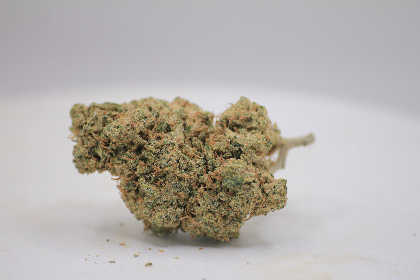🫐✨ BOUTIQUE BLUEBERRY MUFFIN X ✨🫐 25% THCa | 16% CBD | Sweet & Plush Smoke